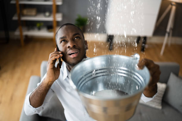 Best Basement water damage restoration  in Combe, LA