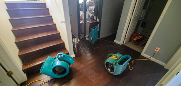 Best Ceiling water damage repair  in Combe, LA