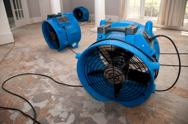  Combe, LA Water damage restoration Pros