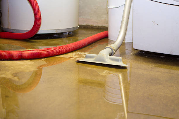 Best Water damage contractors near me  in Combe, LA